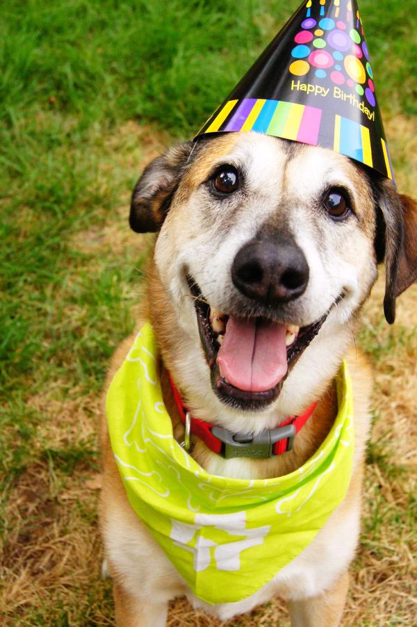 /Images/uploads/Humane Society of Utah/HSUCalendar/entries/1074thumb.jpg